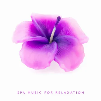 Spa Music for Relaxation - Best Playlist of Music from the Spa for Relaxation, a Moment of Rest, De-stressing and Immersion in a Soothing Sleep by Healing Meditation Zone & Pure Spa Massage Music & Serenity Music Relaxation