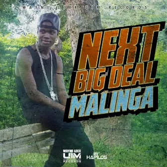 Next Big Deal by Malinga