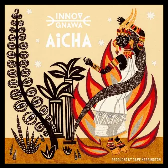 Aicha by Innov Gnawa