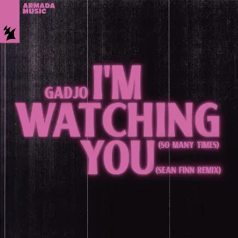 I'm Watching You (So Many Times) [Sean Finn Remix] by Gadjo