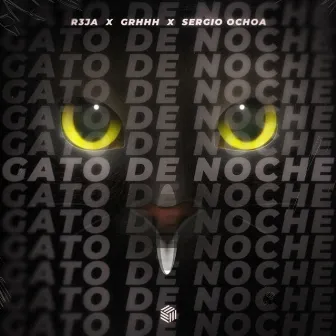 Gato de Noche by R3JA