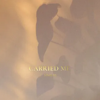 Carried Me (LIVE + Spontaneous) by Meredith Mauldin