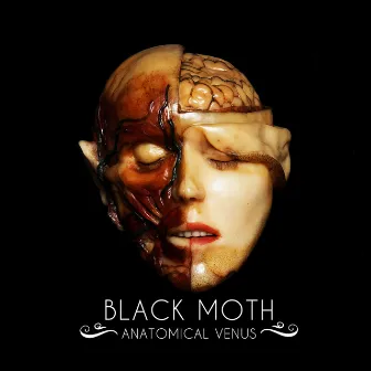 Anatomical Venus by Black Moth