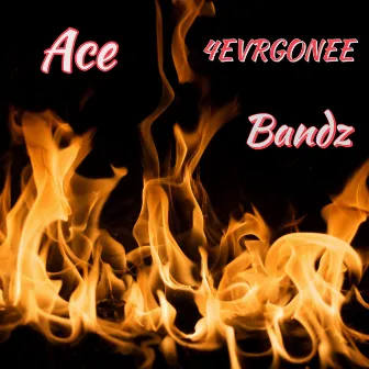 Bandz by Ace