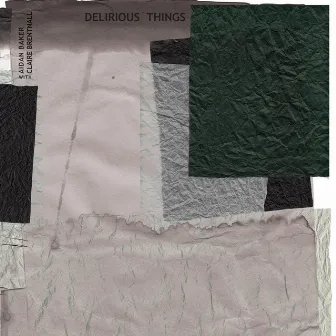 Delirious Things by Claire Brentnall