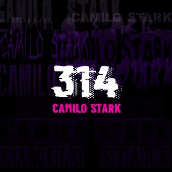 314 by Camilo Stark