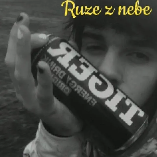 Růže z nebe