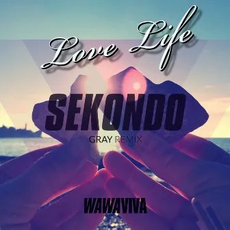 Love Life (GRAY Remix) by Sekondo