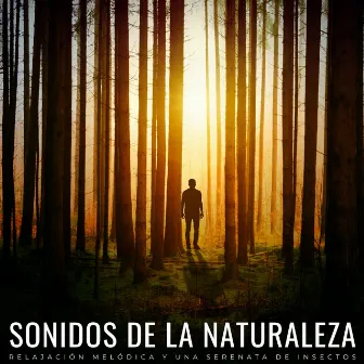 Sonidos De La Naturaleza: Relajación Melódica Y Una Serenata De Insectos by Naturaleza de Suecia