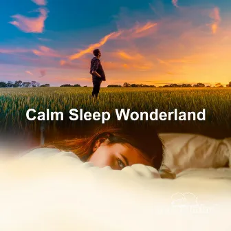 Calm Sleep Wonderland by Sleepy Mind