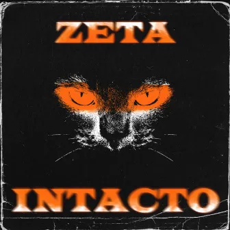 Intacto by Zeta