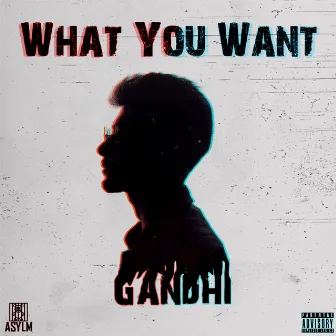 What You Want by Unknown Artist