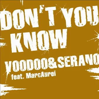 Don't You Know by Voodoo & Serano