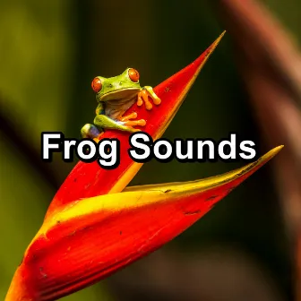 Frog Sounds by Frog Sounds