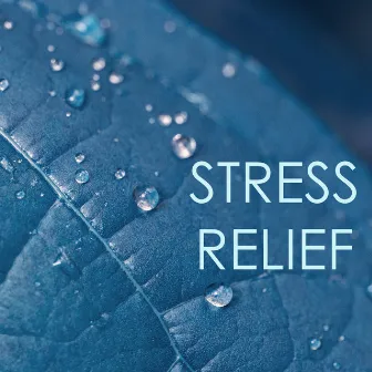 Stress Relief - The Best Relaxation Music Collection by Calm Music Ensemble