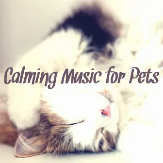 Calming Music for Pets – Instrumental Music to Keep the Company to Your Dog & Cat, Relaxing Soothing Nature Sounds Therapy for Animals by Complacent Pet Zone