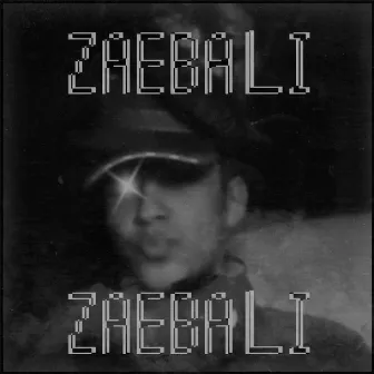 ZAEBALI by SHLAK