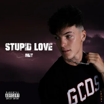 Stupid Love by Met