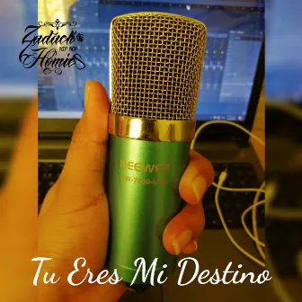 Tu Eres Mi Destino by Zadack Homies