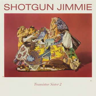 The New Sincerity by Shotgun Jimmie