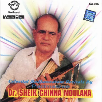 Celestial Nadhaswaram by Sheik Chinna Moulana