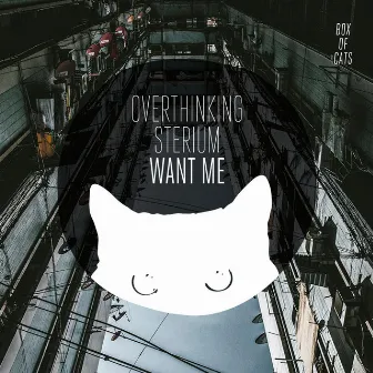 Want Me by Overthinking