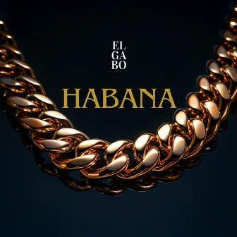 Habana by El Gabo