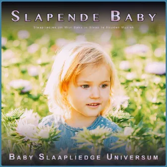 Slapende Baby: Slaapliedjes om Mijn Baby in Slaap te Houden Muziek by Baby Slaapliedje