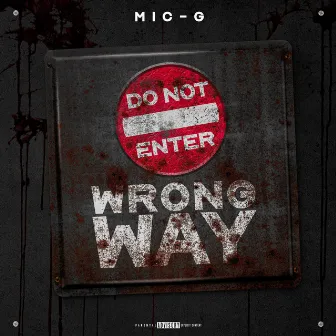 Wrong Way by Mic-G