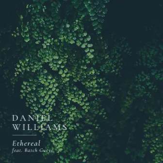 Ethereal by Daniel Williams