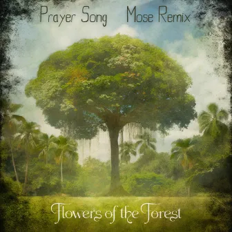 Prayer Song (Mose Remix) by Flowers of the Forest