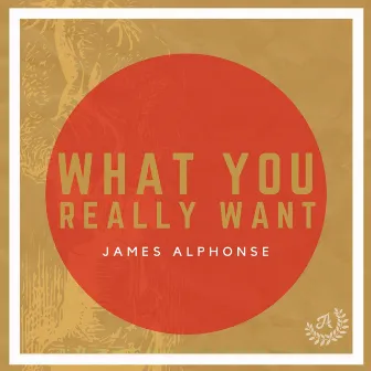 What You Really Want by James Alphonse