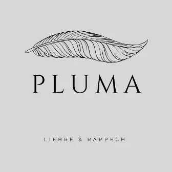 Pluma by Rappech