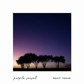 Purple Sunset by Amor Omnia