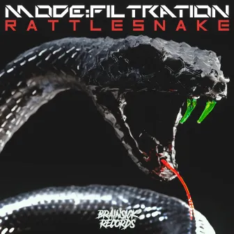 Rattlesnake by Mode: Filtration