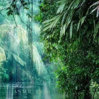 The Rainforest by ASMR Rain