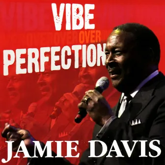 Vibe over Perfection by Jamie Davis