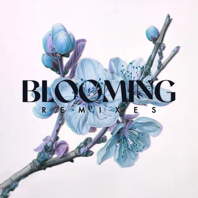 Blooming - Poles Remix