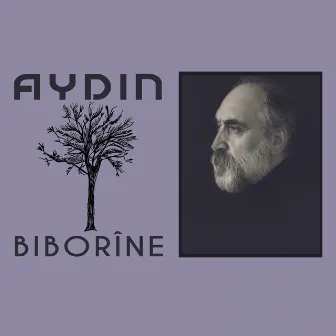 Biborîne by Aydın