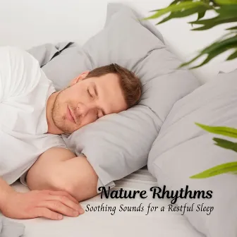 Nature Rhythms: Soothing Sounds for a Restful Sleep by Green 5