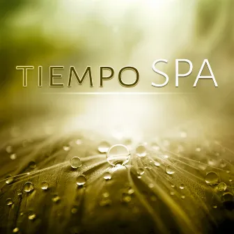 Tiempo SPA (Música de Piano) - Música SPA para Masaje y Relajación, Sonidos de la Naturaleza, Musica de Meditacion, Relaje Su Cuerpo y Su Alma Usando Aromaterapia by Amazing Spa Universe