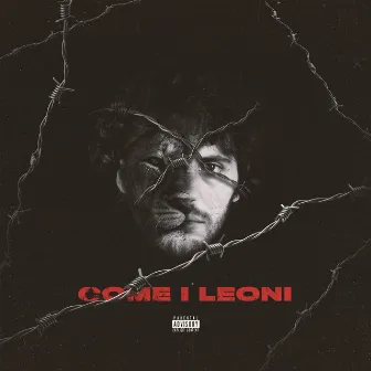 Come i leoni by Sher x88