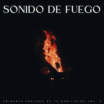 Sonido De Fuego: Chimenea Ardiente En Tu Habitación Vol. 2 by Chill Relajante