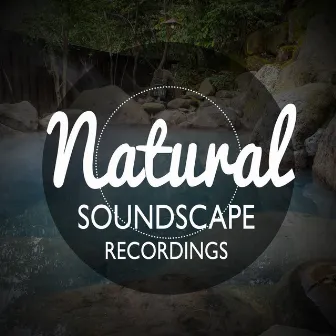 Natural Soundscape Recordings by Nature Sounds