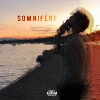 Somnifère by Lomar