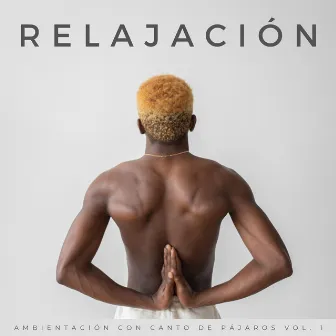 Relajación: Ambientación Con Canto De Pájaros Vol. 1 by 