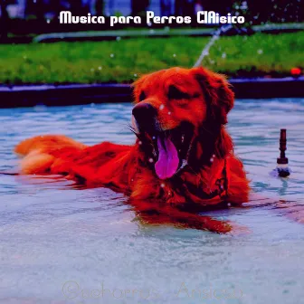 Cachorros - Ansioso by Musica para Perros ClAisico