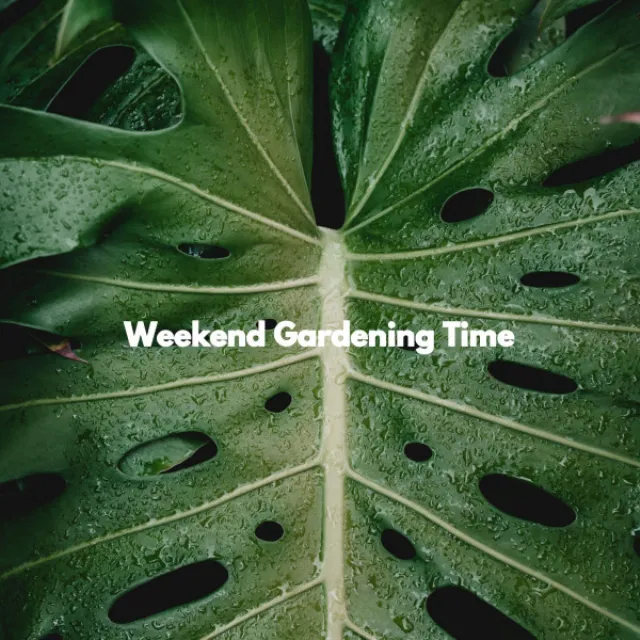 Weekend Gardening Time