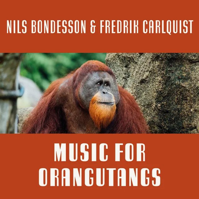 Music for Orangutangs