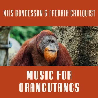 Music for Orangutangs by Nils Bondesson